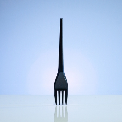 Black Fork